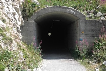 túnel